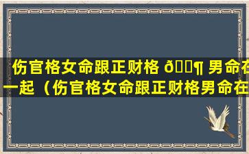 伤官格女命跟正财格 🐶 男命在一起（伤官格女命跟正财格男命在 🐶 一起会怎么样）